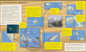 infografica Galapagos