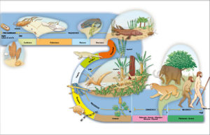 infografica ere