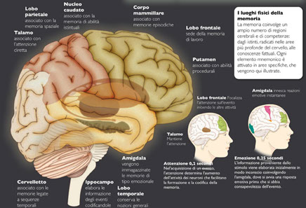 infografiche