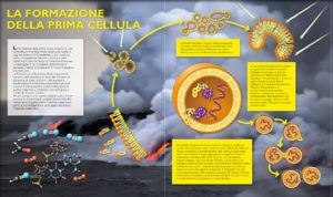 protocellula